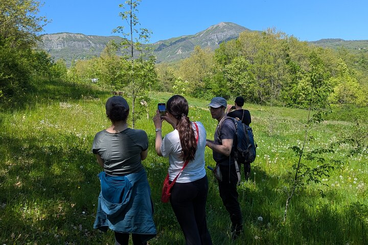 Truffle Hunting & Lunch halfway from Parma to Cinque Terre