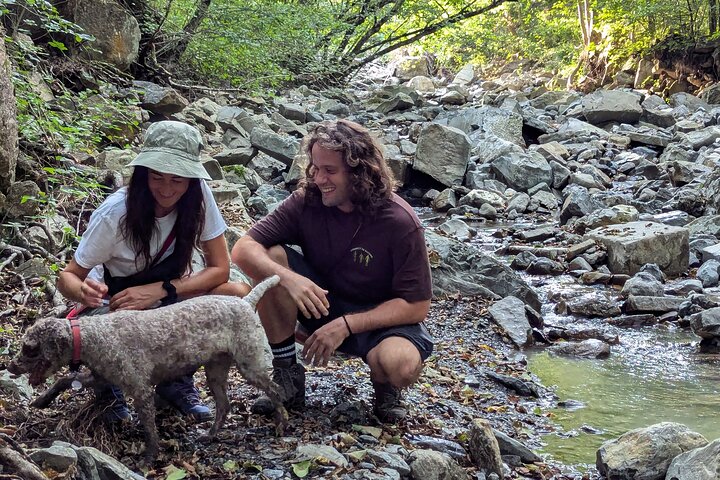 Truffle Hunting & Lunch halfway from Parma to Cinque Terre
