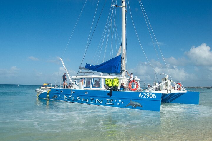 Dolphin Catamaran Snorkel and Sail with Open Bar