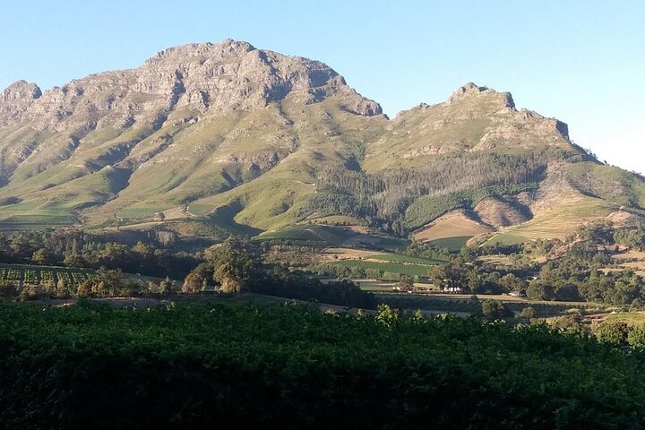 Stellenbosch, Franschhoek, Paarl 15 Wine Tasting Private Tour