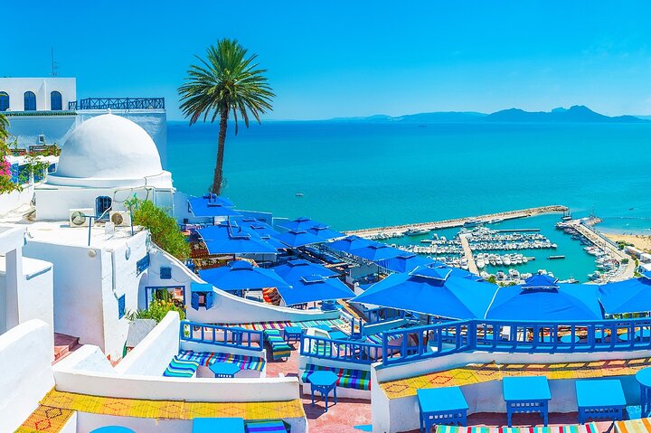Private Day Trip: Carthage, Blue & White Sidi Bou Said & More