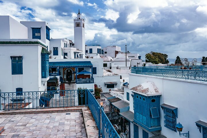 Private Day Trip: Carthage, Blue & White Sidi Bou Said & More