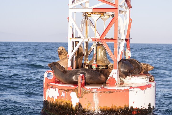 Discover Santa Barbara Yacht Experience