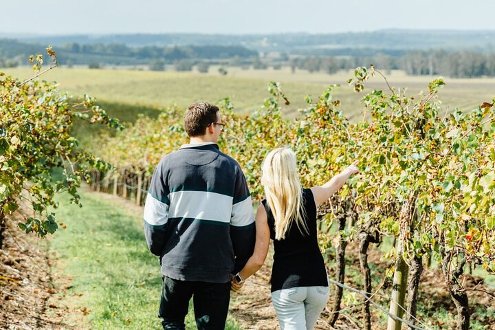 Newcastle: Boutique Hunter Valley Wine Tour