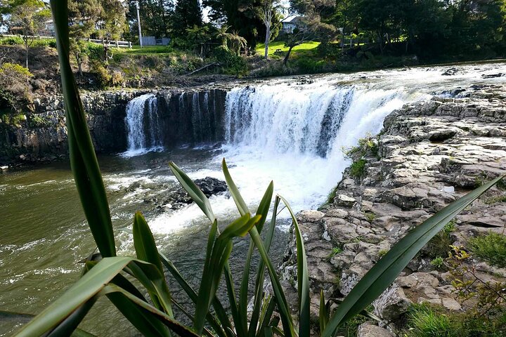 Haruru Waterfalls and Glow Worm Caves Tour