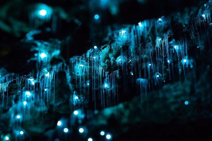 Haruru Waterfalls and Glow Worm Caves Tour