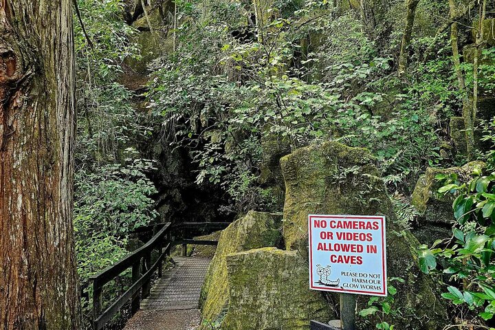 *Popular Tour* - Bay of Islands: Nature Adventure - 4hrs