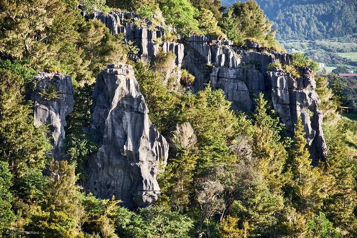 *Popular Tour* - Bay of Islands: Nature Adventure - 4hrs