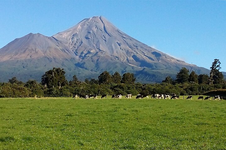 Multi Day Tour to New Plymouth and Taranaki Region from Hamilton