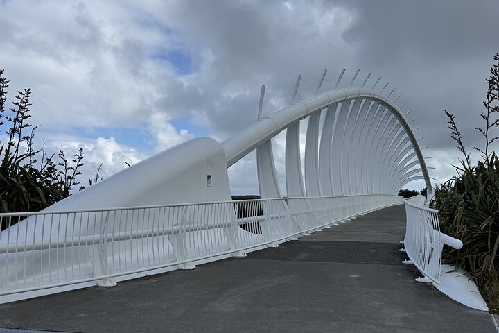 Multi Day Tour to New Plymouth and Taranaki Region from Hamilton