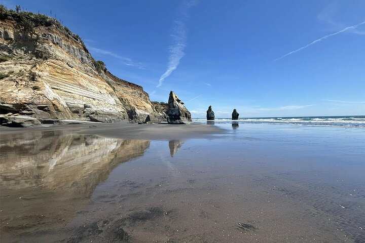 Multi Day Tour to New Plymouth and Taranaki Region from Hamilton