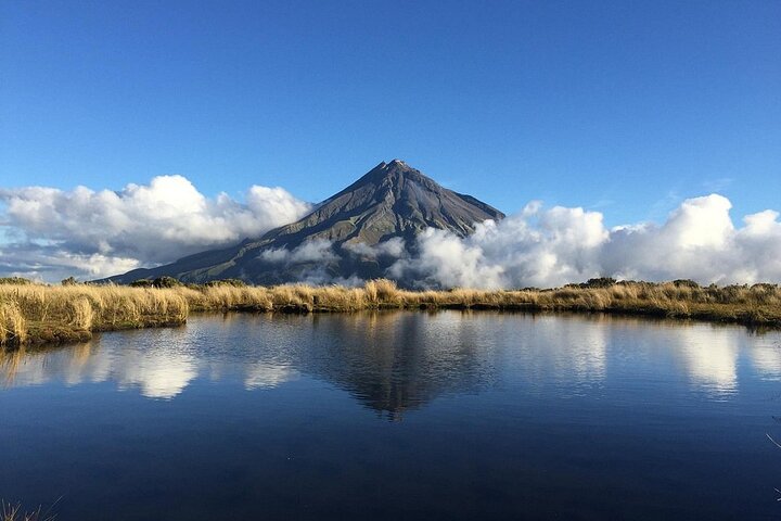 Multi Day Tour to New Plymouth and Taranaki Region from Hamilton
