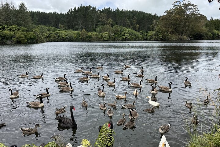 Multi Day Tour to New Plymouth and Taranaki Region from Hamilton