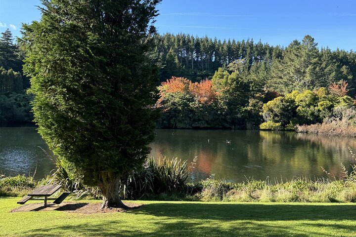 Multi Day Tour to New Plymouth and Taranaki Region from Hamilton
