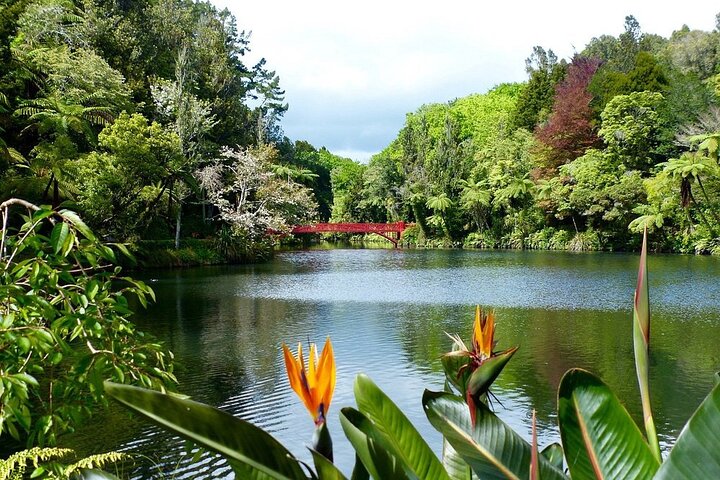 Multi Day Tour to New Plymouth and Taranaki Region from Hamilton