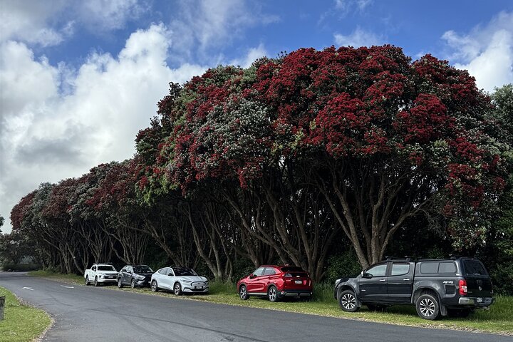 Multi Day Tour to New Plymouth and Taranaki Region from Hamilton