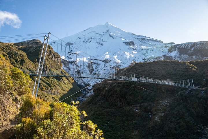 Multi Day Tour to New Plymouth and Taranaki Region from Hamilton