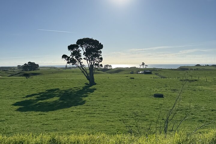 Multi Day Tour to New Plymouth and Taranaki Region from Hamilton