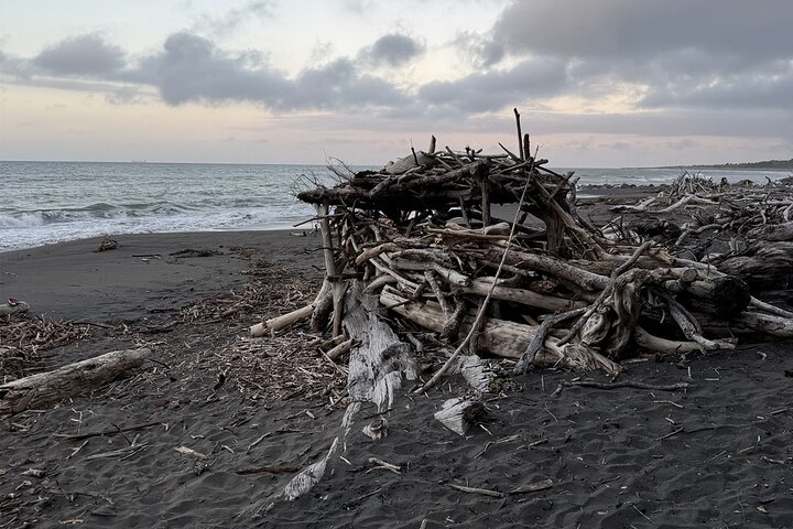 Multi Day Tour to New Plymouth and Taranaki Region from Hamilton