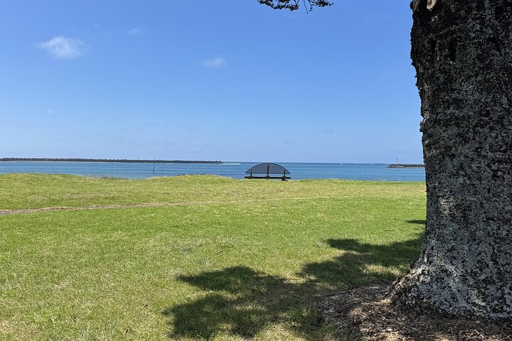 Multi Day Tour to New Plymouth and Taranaki Region from Hamilton