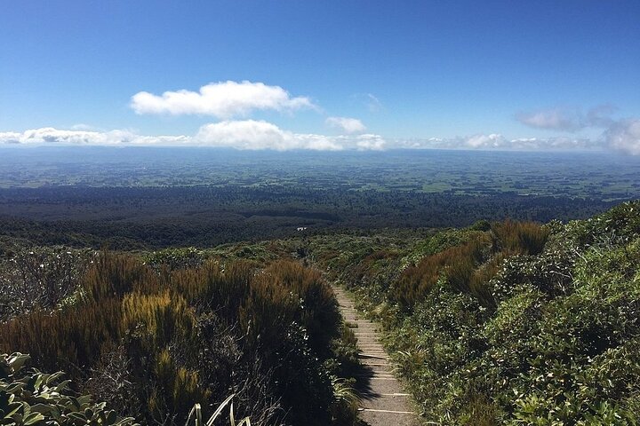 Multi Day Tour to New Plymouth and Taranaki Region from Hamilton