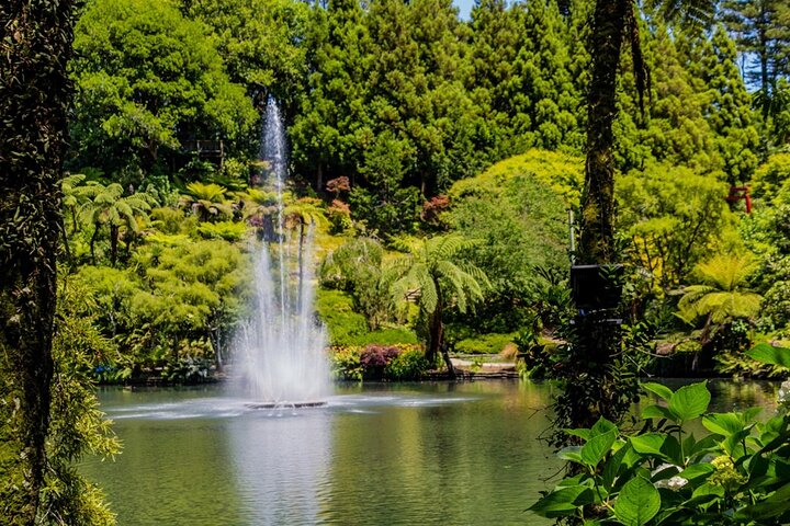 Multi Day Tour to New Plymouth and Taranaki Region from Hamilton