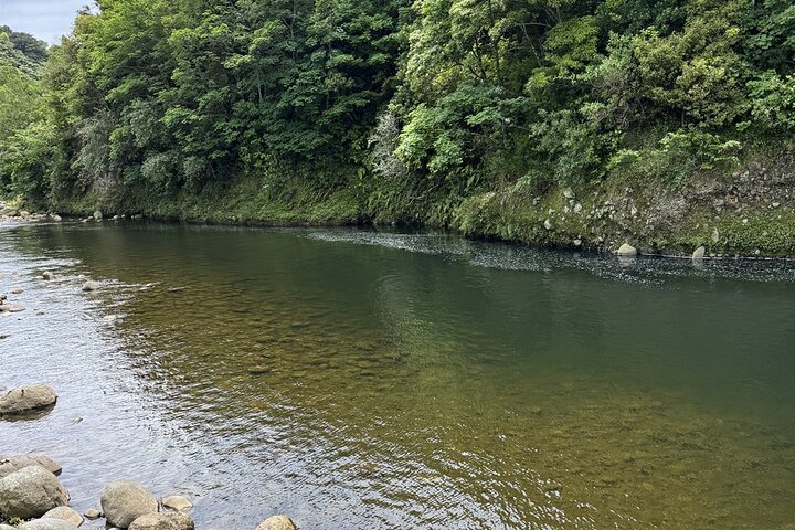 Multi Day Tour to New Plymouth and Taranaki Region from Hamilton