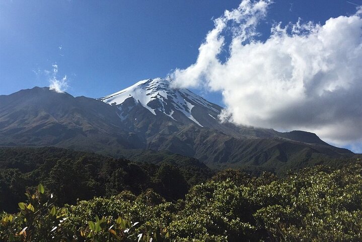 Multi Day Tour to New Plymouth and Taranaki Region from Hamilton