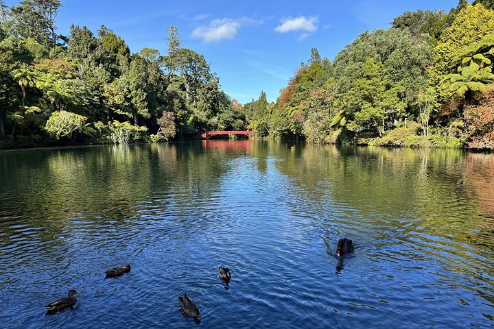 Multi Day Tour to New Plymouth and Taranaki Region from Hamilton