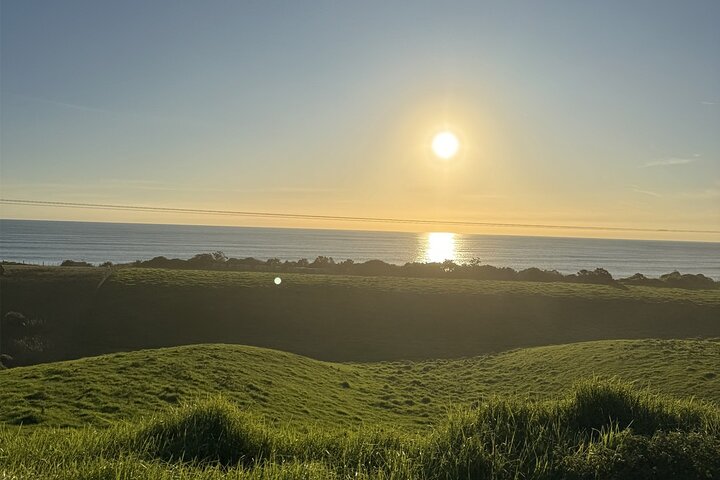 Multi Day Tour to New Plymouth and Taranaki Region from Hamilton