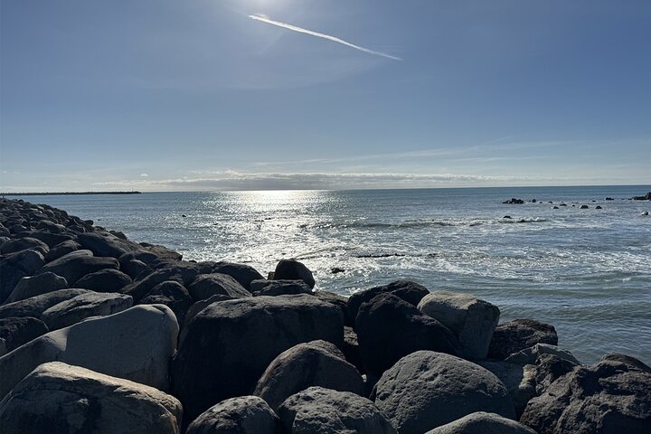 Multi Day Tour to New Plymouth and Taranaki Region from Hamilton