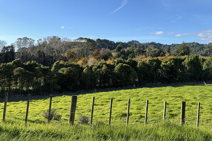 Multi Day Tour to New Plymouth and Taranaki Region from Hamilton