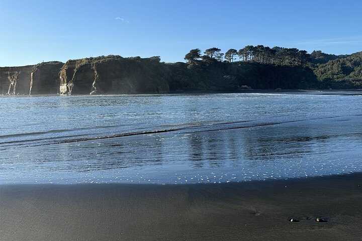 Multi Day Tour to New Plymouth and Taranaki Region from Hamilton