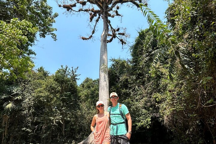 All Inclusive Tikal Tour from Flores and Airport