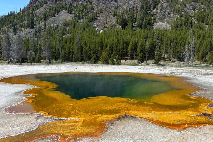 Private Guided Tour in Yellowstone National Park