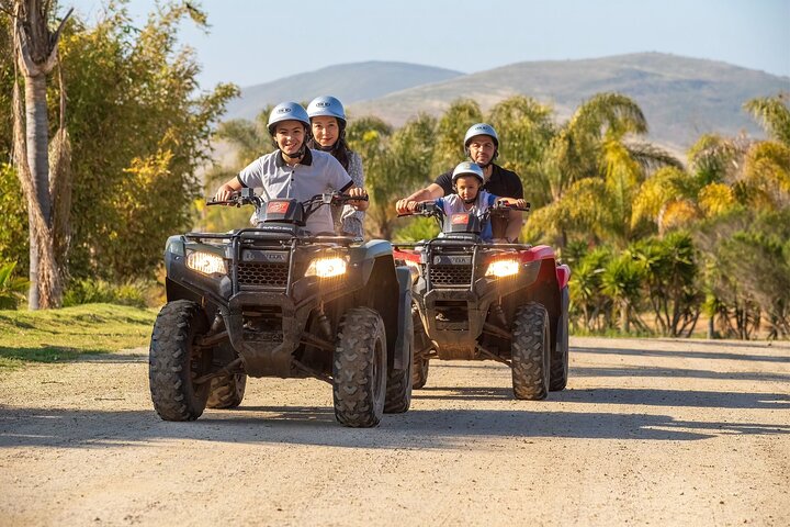 Las Cañadas ATV Tour (with Roundtrip Luxury Transportation)