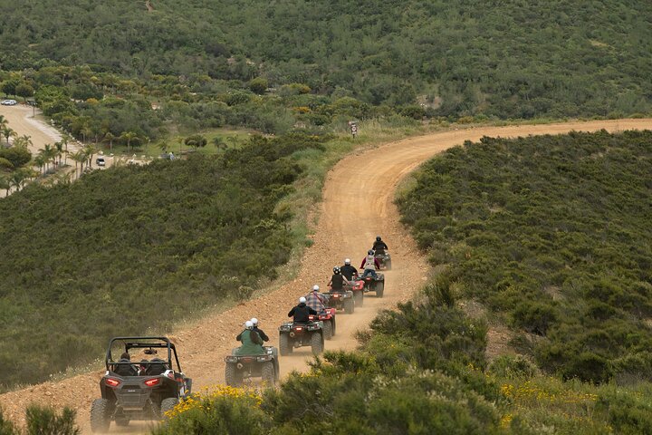 Las Cañadas ATV Tour (with Roundtrip Luxury Transportation)