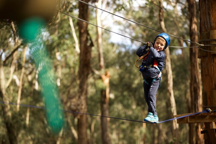 Lane Poole Park Dwellingup - Junior Tree Ropes & Ziplining