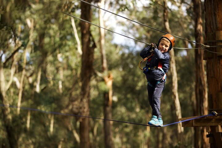 Lane Poole Park Dwellingup - Junior Tree Ropes & Ziplining