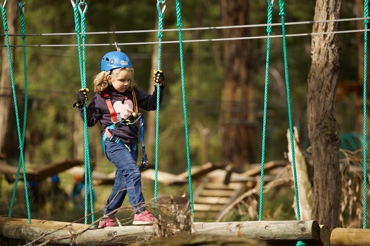 Lane Poole Park Dwellingup - Junior Tree Ropes & Ziplining