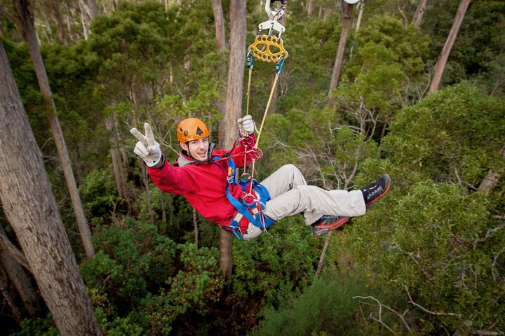 Launceston Hollybank Tree Ropes Experience