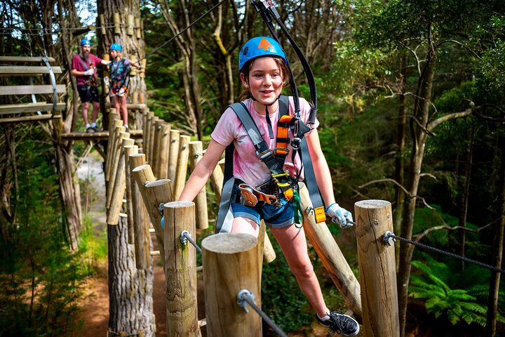 Launceston Hollybank Tree Ropes Experience