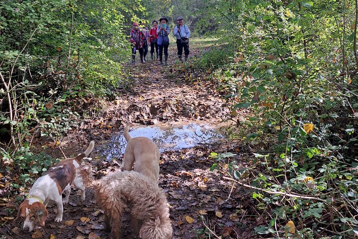 Truffle hunting adventure