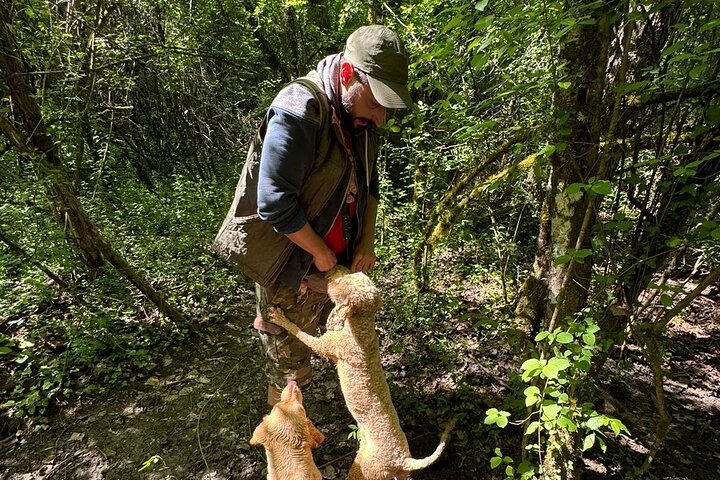 Truffle hunting adventure
