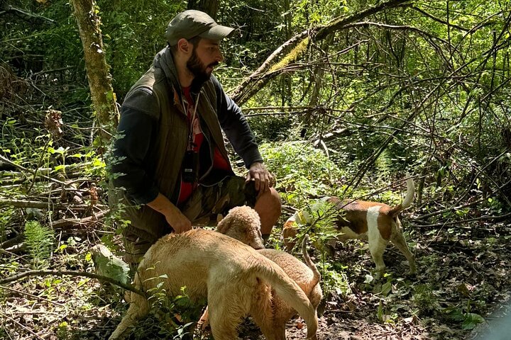 Truffle hunting adventure