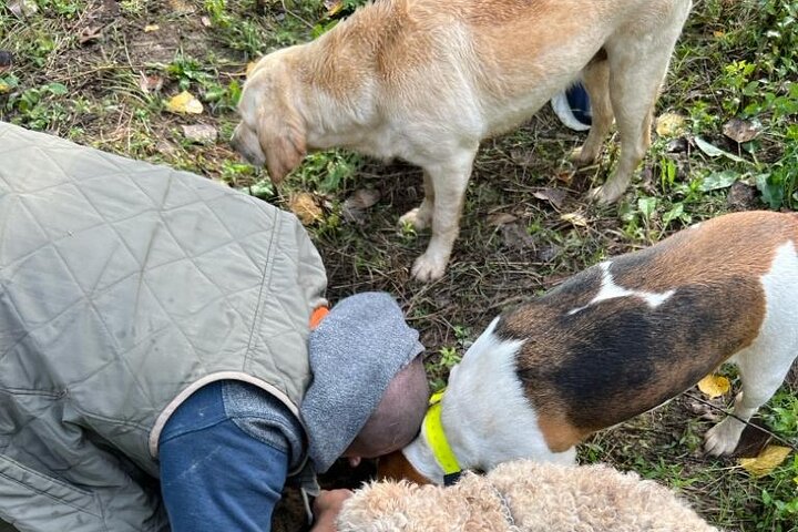 Truffle hunting adventure