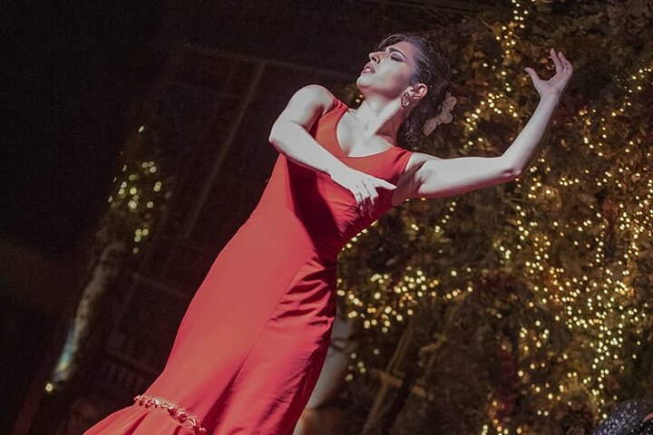 Flamenco Show & Special Menu at Torres Bermejas in Madrid