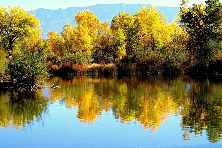 Private Full Day Albuquerque Tour (with Hotel Pickup & Dropoff)