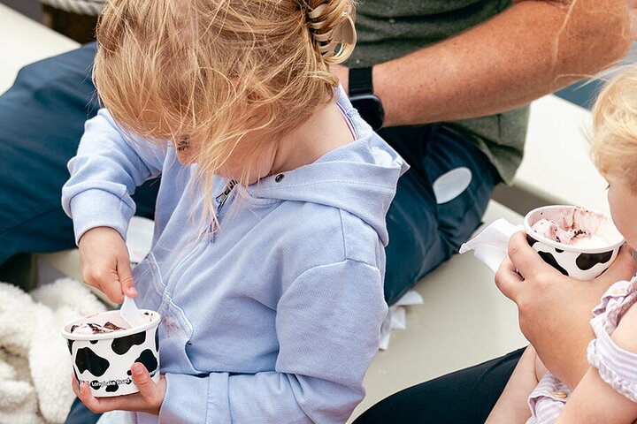 Manitou Moomers Ice Cream Sail