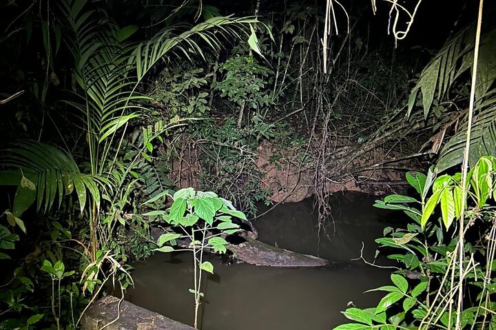 Night Adventure at Soberania National Park